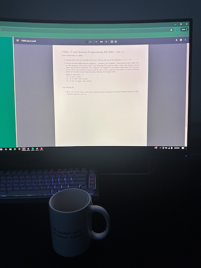 computer monitor showing a CS lab pdf with a cup of tea below